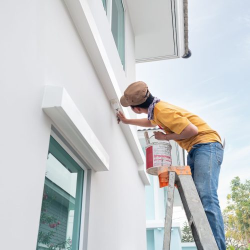 Interior & Exterior Paint